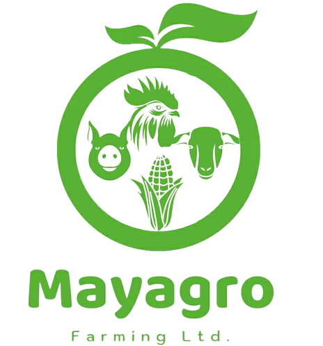 Mayagro Farming
